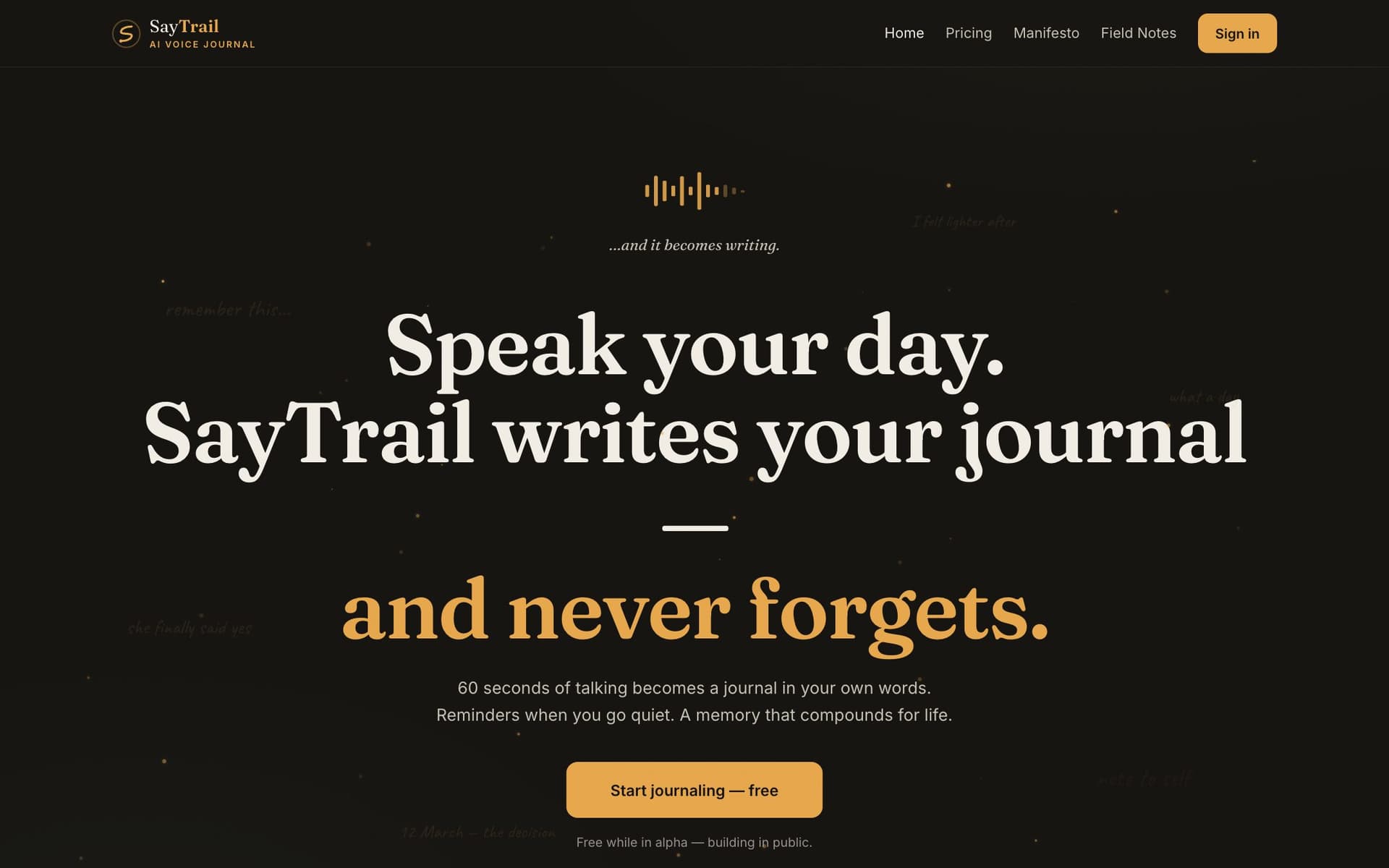 SayTrail — live product screenshot